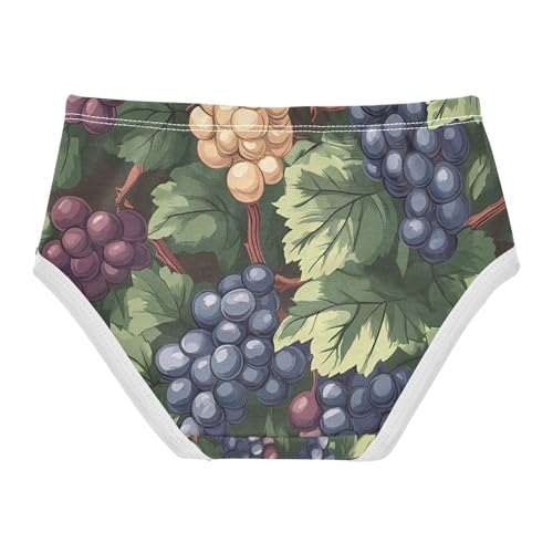 Vintage Grape Pattern Toddler Girls's Underwear 2T 202c11322