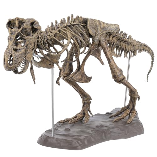 Squelette de dinosaure T-Rex 3D en PVC pour collectionneur