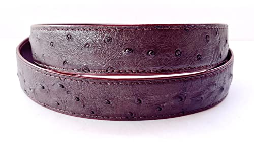 Julie Genuine Real Ostrich Skin Leather Meninchs Dark Brown Belt 33-48inch Black big4