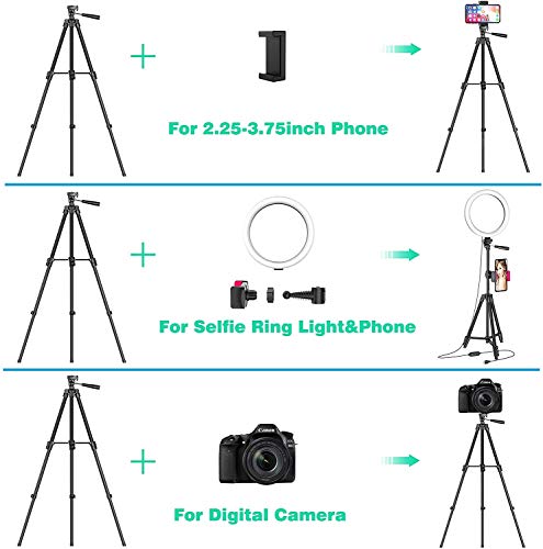 Ring Light with 50" Extendable Stand, 10" Dimmable LED Selfie Ringlights for Live Stream/Makeup, 6000K Camera Circle Lights for Zoom TikTok Photography YouTube Video Conference Lighting for Phones
