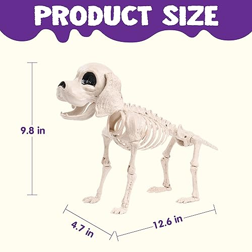 Image of JOYIN Posable Halloween Dog Skeleton Full Body Posable Joints Realistic Skeleton Puppy with Movable Joints for Halloween Decoration, Graveyard Party Decor (9.8 inch X 4.7 inch X 12.6 inch)