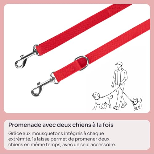 Laisse pour petit chien et chat Chaba robuste design rouge M - 5