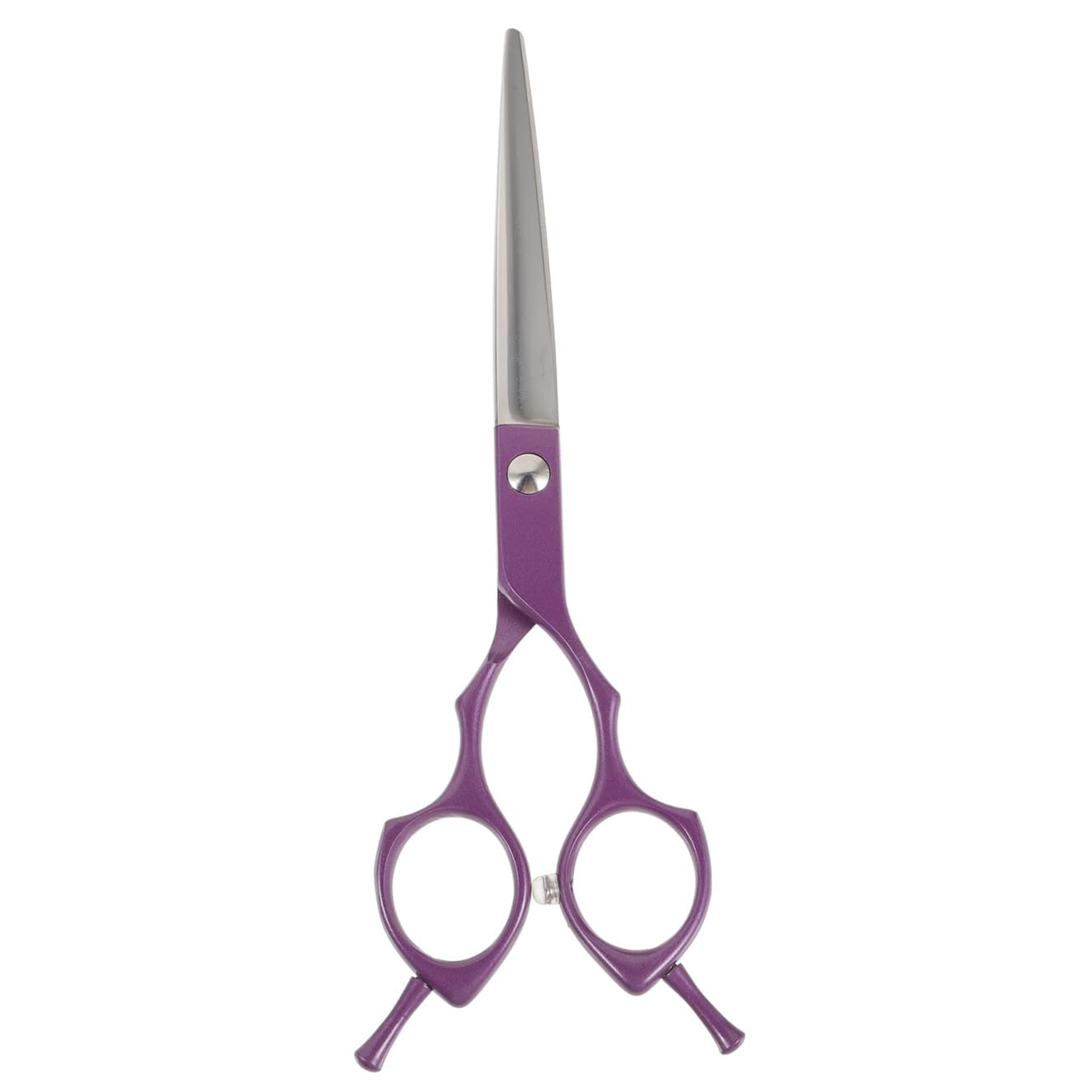 Ciseaux de coupe de cheveux idéaux pour salons et coiffeurs