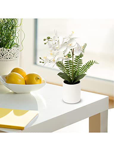 Briful Orchids Artificial Flowers 16" Small Fake Orchid White Phalaenopsis Orchid Flower Arrangements With Ceramic Vase Faux Orchid For Home Bathroom Table Centerpiece Office Wedding Decor #TOP3