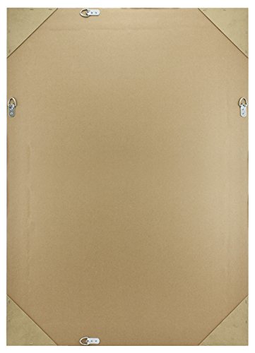 Mcs Simplicity Mirror 29.5 X 41.5 Overall Size, 29.5 X 41.5 Inch, Black #TOP3