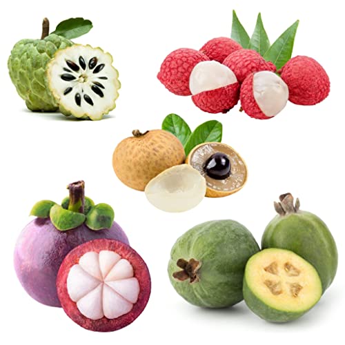 Mini Tropical Fruits Box