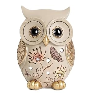 Owl Statue for Home Decor Accents – Boho Decor for Rooms, Bookshelf, Office Table and Living Rooms, Vintage Cute Figurines for Bird Lovers Owl Gifts
