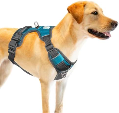 Embark Adventure Dog Harness, No Pull Dog Harness with 2 Leash Clips, Dog Harness for Large Dogs No Pull. Front & Back with Control Handle, Adjustable Blue Dog Vest, Soft & Padded for Comfort