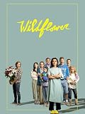 Wildflower