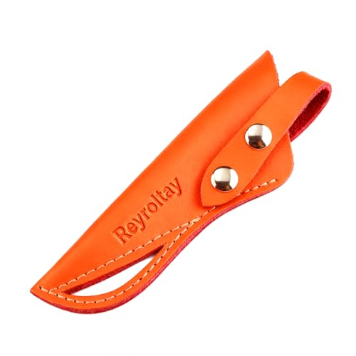 Hair Scissor Case