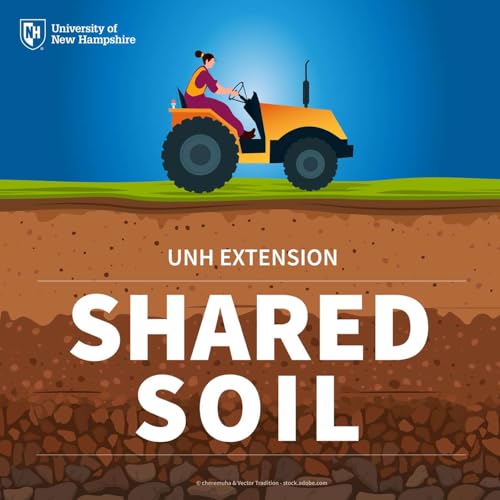 Page de couverture de Shared Soil