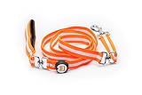 Mace Brand Nite Beams LED Lighted Pet Leash, Medium/Large, Orange