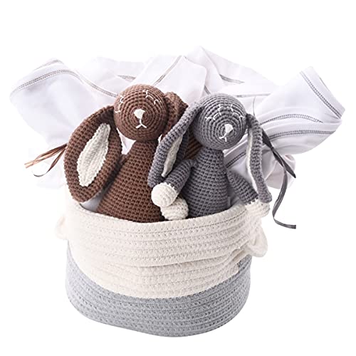 Non Toxic Organic twin boys gift basket with essentials