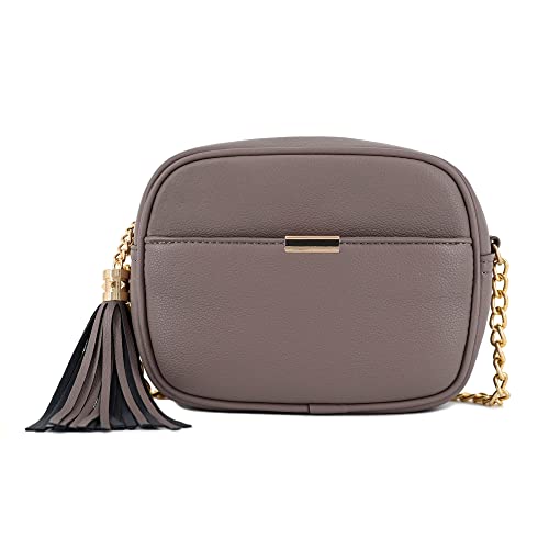 V+BENIE Tassel Small Crossbody Bag with Chain Strap Small Purse Handbags for Women, Camera Bag Stone