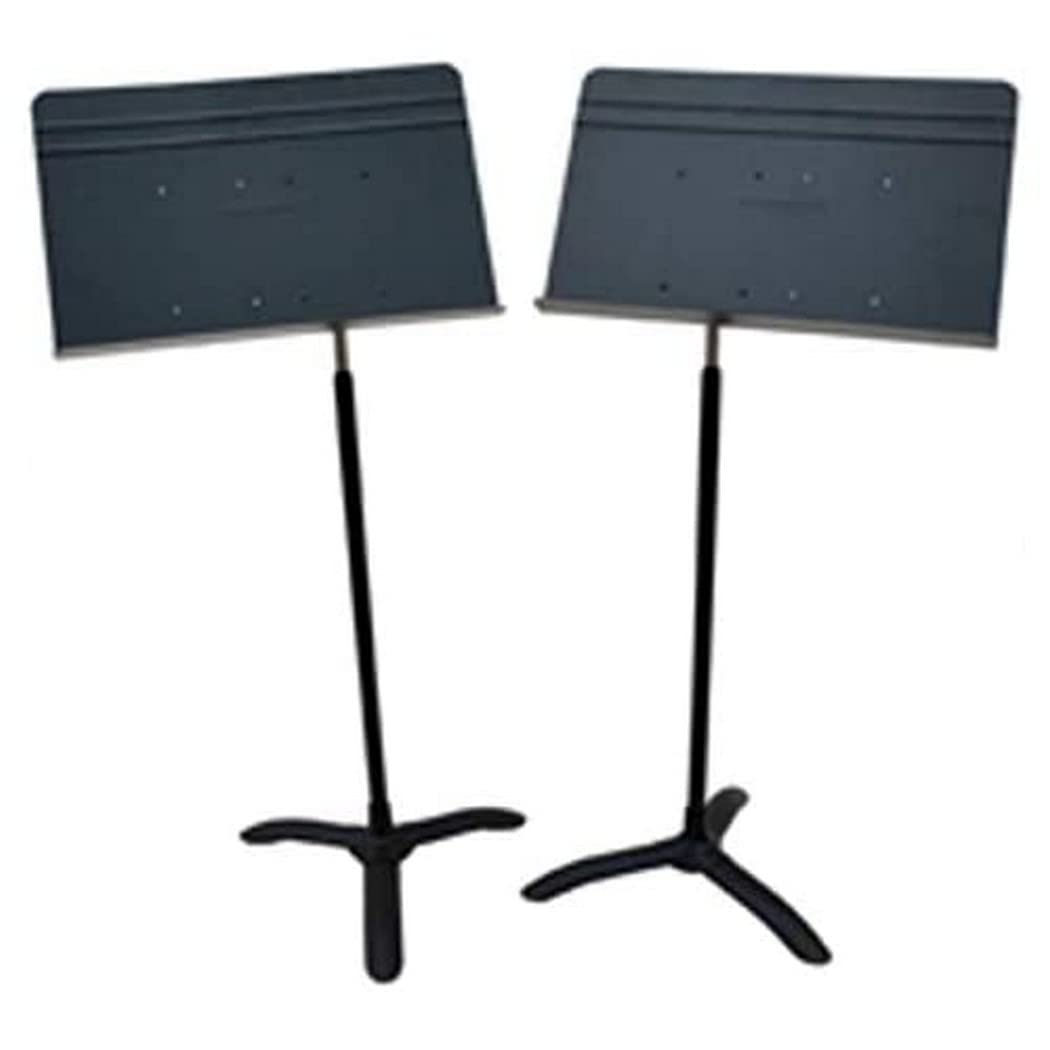 Manhasset 48TB Rack and Stand