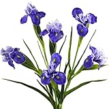 6 Long-Stem Real Touch Artificial Purple Irises – Realistic Faux Flowers for Home Décor, Wedding Bouquets, Centerpieces & Floral Arrangements