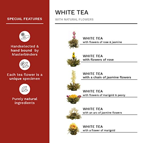 Creano Blooming Tea Gift Set - 500 ml Glass Teapot With 6 Flowering White Tea Flowers