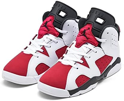 nike jordan 6 carmine