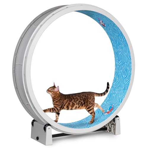 Image of One Fast Cat - Cat Exercise Wheel - Gen. 7 - Safe 48 inch Diameter - Made in The USA - White Wheel with Koi Pond Foam Traction Pads and Solid Black Inline Wheels