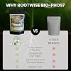 Rootwise Bio-Phos (4 أونصة) | سماد فوسفوري طبيعي ومنشط للتربة للنباتات | مزيج ميكروبي عضوي ومحفز للجذور للنباتات يعزز امتصاص العناصر الغذائية وصحة التربة