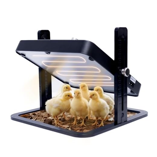 Adjustable Heater Plate for Chick Brooding