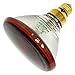 Sylvania 13933 100-Watt PAR38 Incandescent reflector, Red