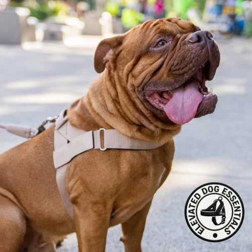 Image of Dog Friendly Co. Dog Harness for Small Dogs (Brown, Small)