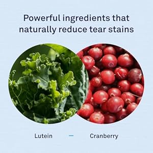 Petpost | tear stain remover chicken flavored soft chews  delicious chicken treat  eye stain supplement for dogs  natural treatment for tear stains on white fur angels 90 ct   cucciolini doodles