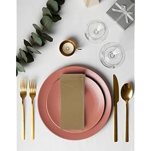 ACCENTHOME Accent Home 100% Cotton Napkins, Delicate Cloth Napkins for Dinners, Parties and Weddings,18 x 18 Inch Set of 12 - Brown ACCENTHOME Accent Home 100 Cotton Napkins Delicate Cloth Napkins for Dinners Parties and Weddings18 x 18 Inch Set of 12 Brown