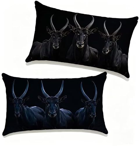 �N�b�V�����J�o�[ 70x90 cm 2���Z�b�g �� �h�� ���� ���O �N�b�V���� �r �l�C ���O �������J�o�[ 70 x 90 cm �l�p HD���ʈ�� ���_�� �B���t�@�X�i�[�t�� Cushion Cover, ������ �p���� �_�� �� �l�G�ʗp �t�G��?