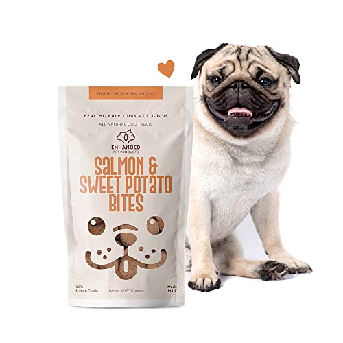 10 ProteinPacked Dog Foods That Will Keep Your Pooch in Top Shape