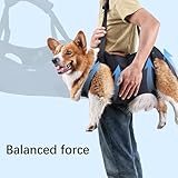 Hundehebegeschirr, Tragegeschirr für Hunde, Tragegeschirr Hund Hebegeschirr für Hunde, Stützgeschirr für Hinterbeine von Hunden mit Griffen
