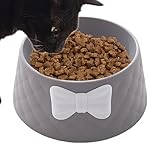Gamelles pour chat | Gamelle pour petits chiens, récipient pour nourriture sèche, biscuits, nourriture en conserve et eau pour soulager le hoquet lors des vomissements Pacienjo