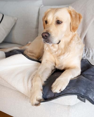 TrendPet Pearl, wasserdichte Decke, Kuscheldecke, Hundedecke, Sofadecke, Bettdecke (220x120 cm)