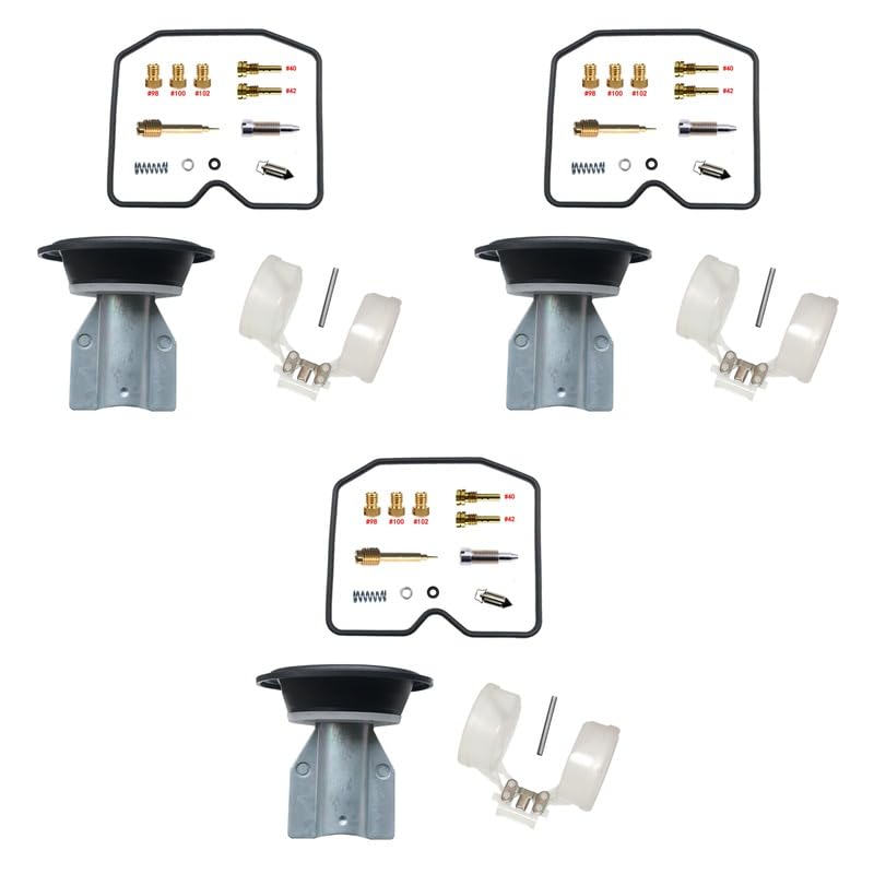 Kit carburateur Thunderbird Sport 900 pour réparer les fuites de cuve