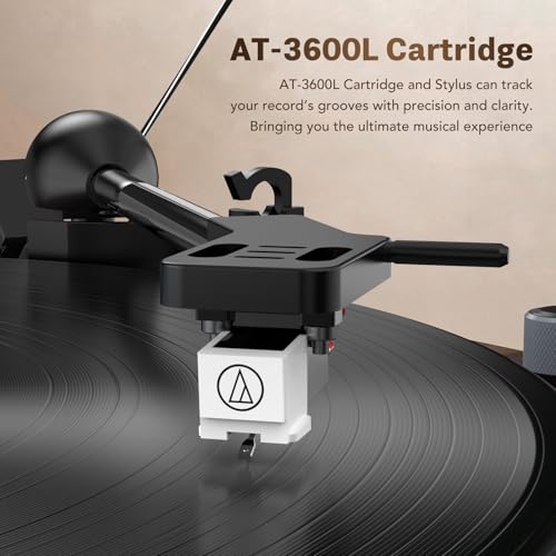 Tourne-disque vinyle Trynnay d'exception en noyer véritable - 5
