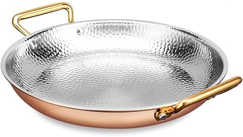 �Z���~�b�N������ ���^�����\�[�X�p�� �X�y�C�����p�G���A�p�� ��^�X�e�����X�X�`�[���t���C�p�� ���x�b�g�n���h���t�� �m���X�e�B�b�NIH�Ή� �X�y�C�������� �ƒ�p �Ɩ��p ���@�\���� (12.6inch,Rose Gold)