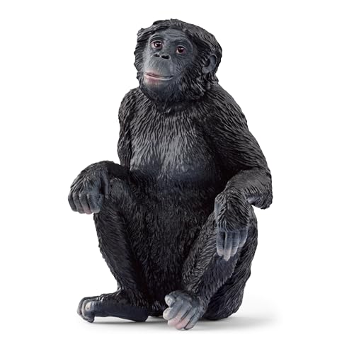 SCHLEICH 14875 Bonobo Weibchen, ab 3 Jahren, WILD Life - Spielfigur, 4 x 4...