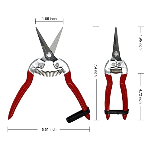 Sanung Pruning Shears Garden Tools Shears Lasting Sharp Labor-Saving for Trimming Plants Fruit Branches Shrub and Flower Suitable for Parks and Courtyard