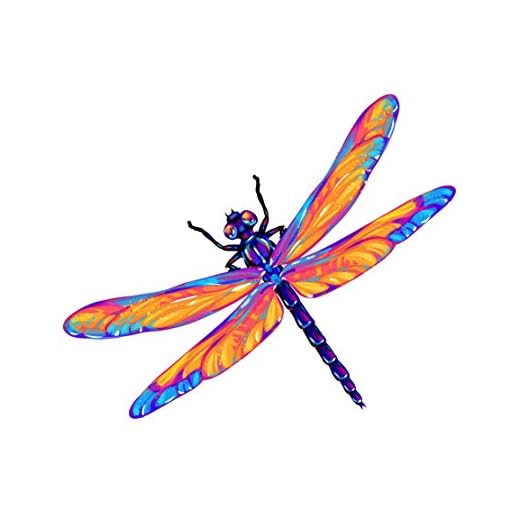 Beautiful Dragon Fly Pink and Purple Decal - Five Inch Wide Full Color Decal - for Indoor or Outdoor Use - Car, Truck, Laptop, MacBook