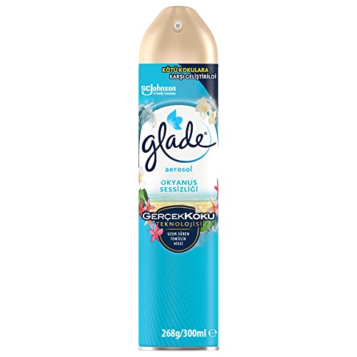 Aerosol Okyanus Sessizliği Oda Kokusu 300 mL (1 x 300 mL)