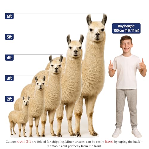 Image of Alpaca 3FT Life Size Cardboard Cutout - A Fun Animal Standup for Photo Booths, Birthday Parties, and Events