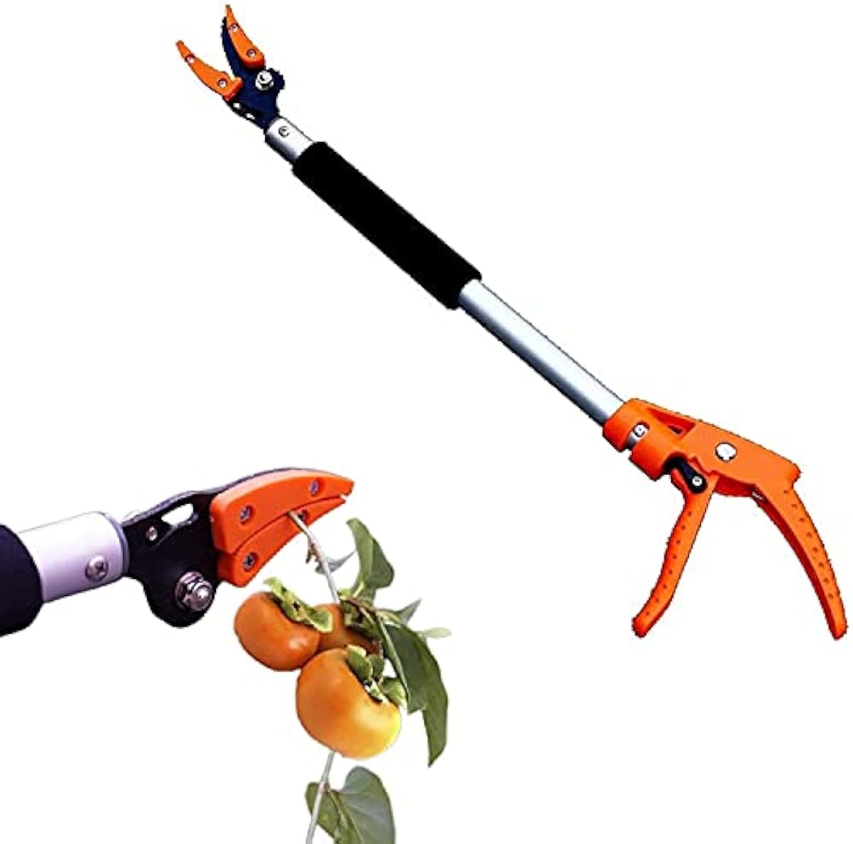 売り出し値下げ Wxking 木の庭の長さの木のプラニーの収穫農園の庭のツールのための軽量のフルーツピッカーの実用的な耐久のセカテリア Size 3m Diy 工具 ガーデン 送料安 Www Littleshopp Com