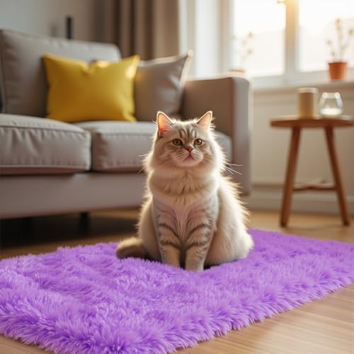 Purple Area Rugs for Bedroom Living Room, 2x3 Soft Fluffy Fuzzy Shag Plush Furry Carpet, Large Indoor Floor Mat for Kids Nursery Home Dorm Office Decor Aesthetic
