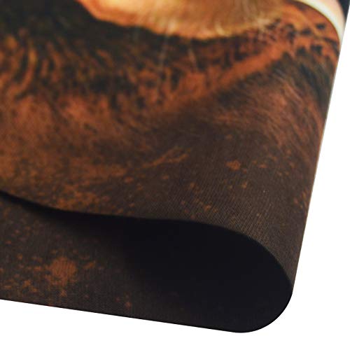 Obacle Animal Half Face Mask Sun Dust Wind Protection Durable Breathable Seamless Face Mask For Men Women Thin Neck Gaiter For Outdoor Sports (Bear Open Mouth Brown) #TOP4