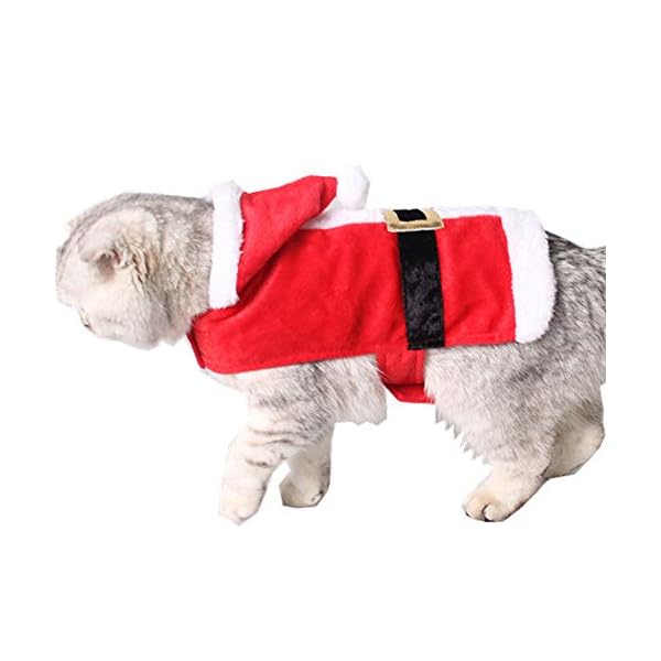 Bolbove pet christmas santa claus suit costume with hat for cats puppies - image 5