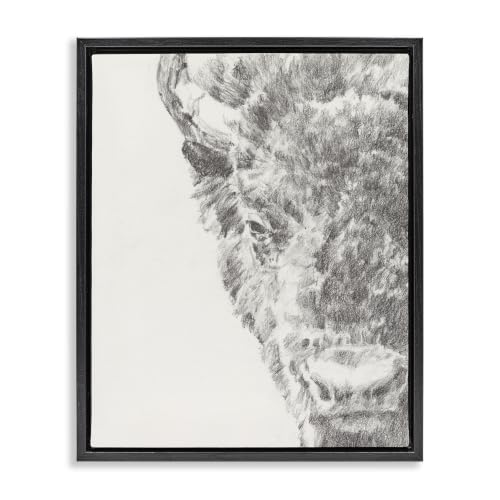 Graphite Bison Rural Farm Drawing, 25 x 31 Inch Canvas in Floater Frame