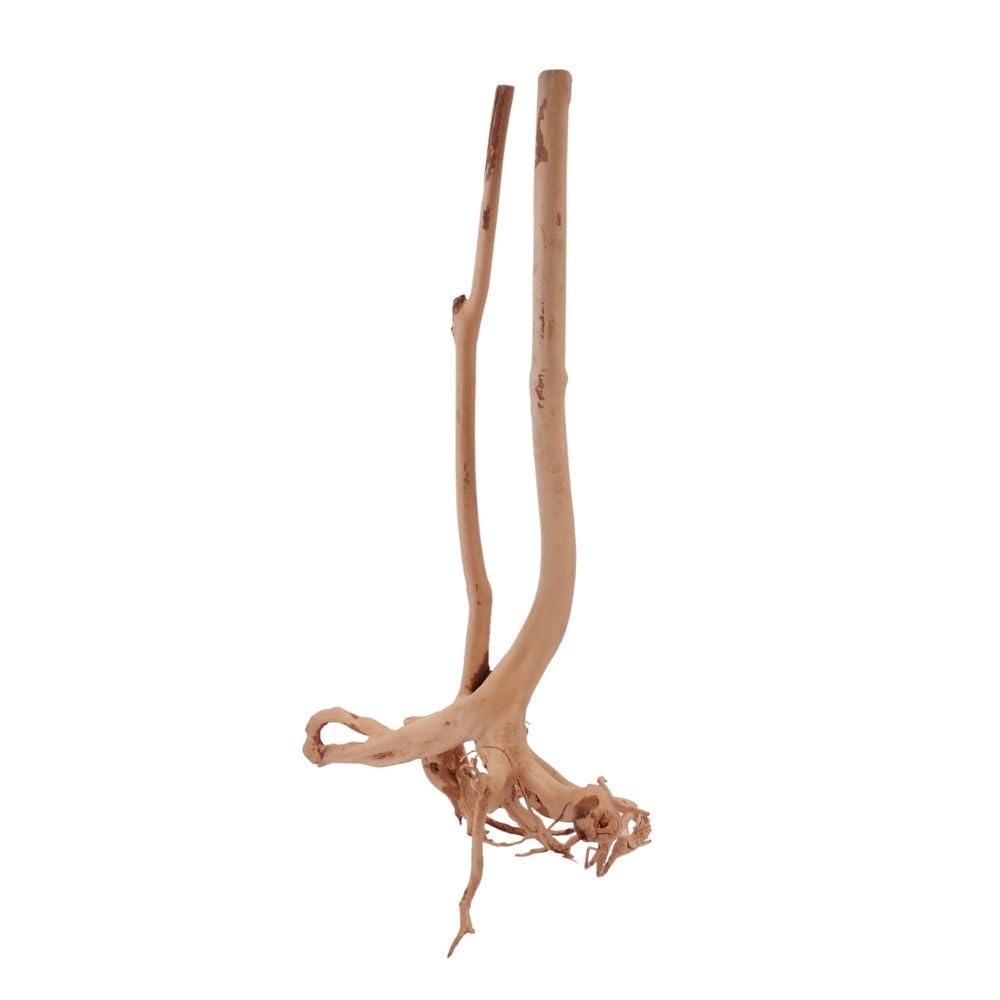 AquaOne Stump radice n. 8907 - Decorazione per acquario, radice in legno, decorazione per acquario, paesaggio, mangrove, moorkie, muschio, naturale, vero legno