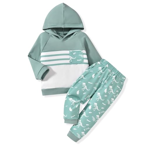 HINTINA Baby Boys Dinosaur Long Sleeve Hoodie Tops Sweatsuit Pants Winter Outfit Set