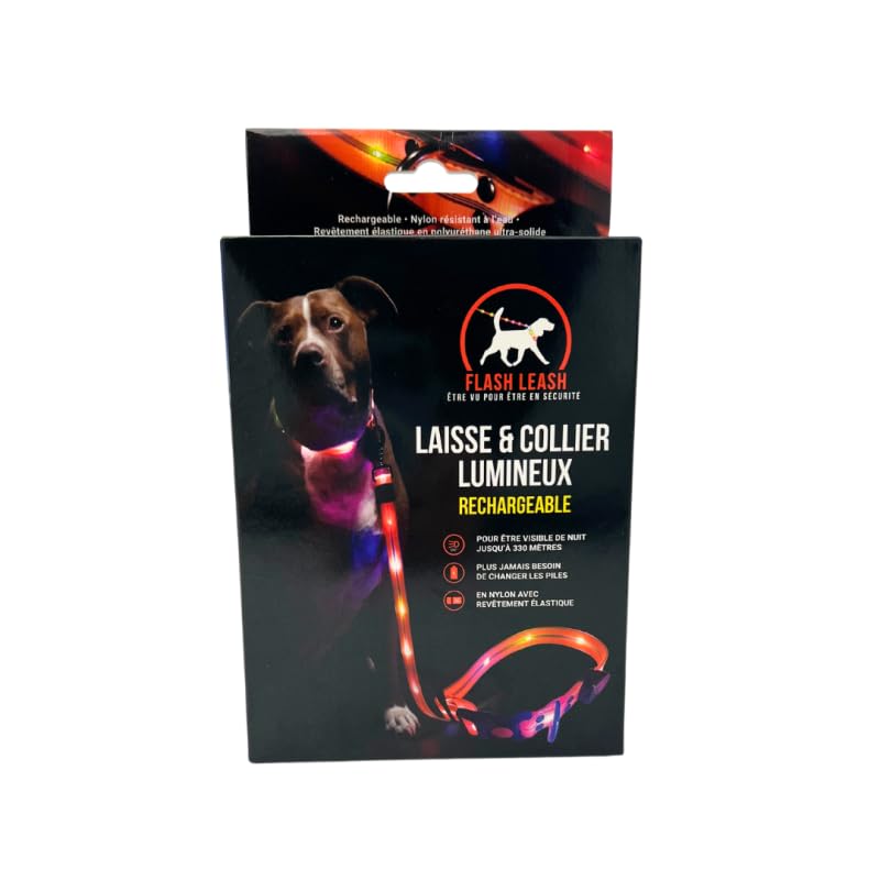 VENTEO - Correa y Collar Luminoso para Perro, Correas Perros - LED Recargable USB - Larga Duración - Resistente al Agua - 3 Modos de Iluminación - Ajustable para Perros Pequeños/Medianos Grandes